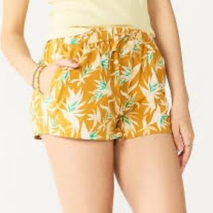 SO Women's High Waist Shorts - Brown and Green